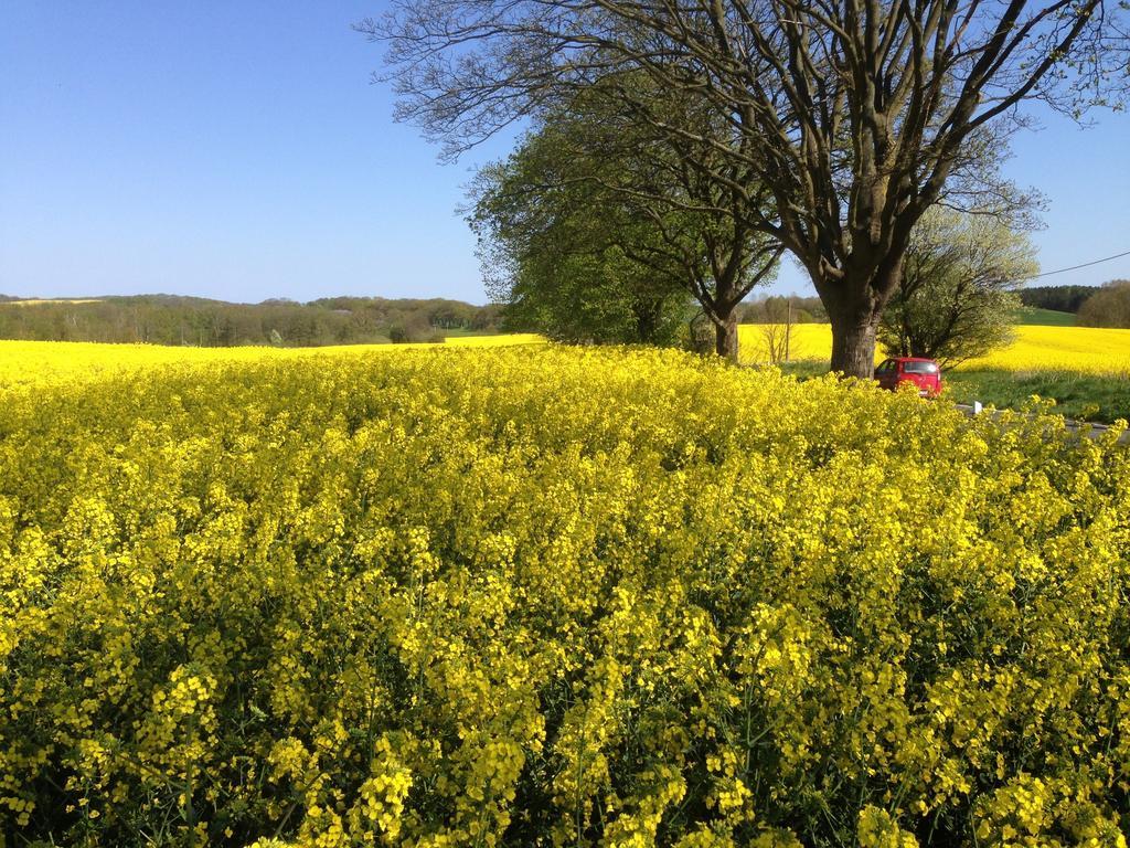 Pension Am Kluenderberg ビンツ エクステリア 写真